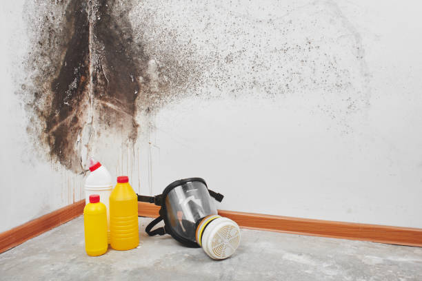 Crawl Space Mold Removal in Suamico, WI