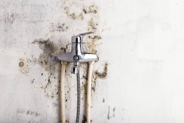 Best Residential Mold Removal  in Suamico, WI