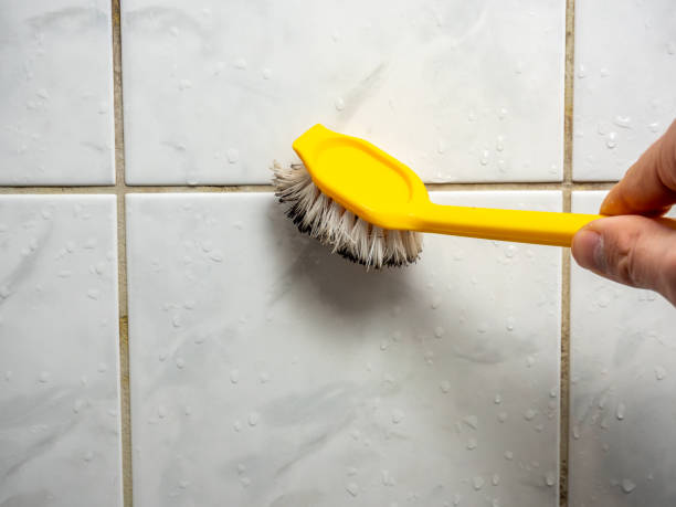 Office Mold Removal Services in Suamico, WI