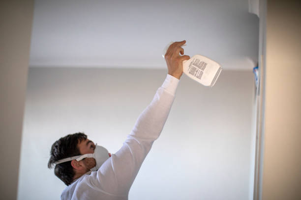 Best Crawl Space Mold Removal  in Suamico, WI