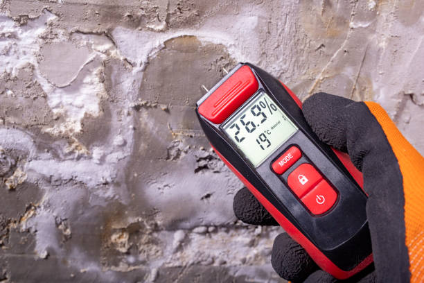 Professional Mold Removal in Suamico, WI