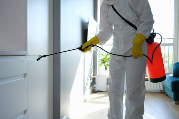 Best Certified Mold Removal  in Suamico, WI